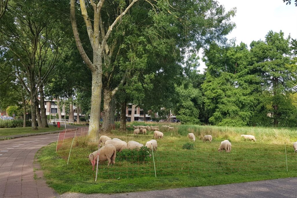 Professor Hugo de Vriesstraat 2