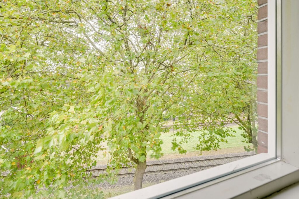 Buys Ballotstraat 1B