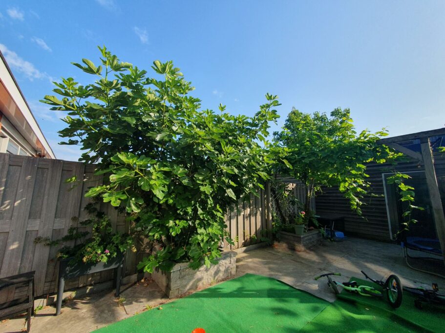 Gerard Doggerlaan 61