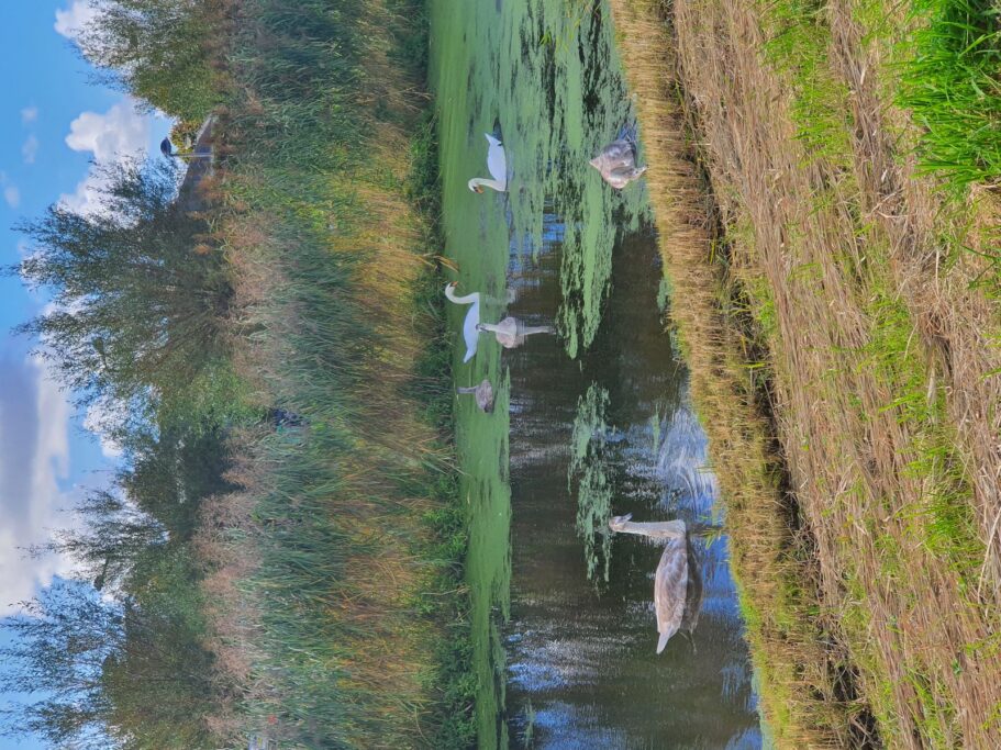 Gerard Doggerlaan 61