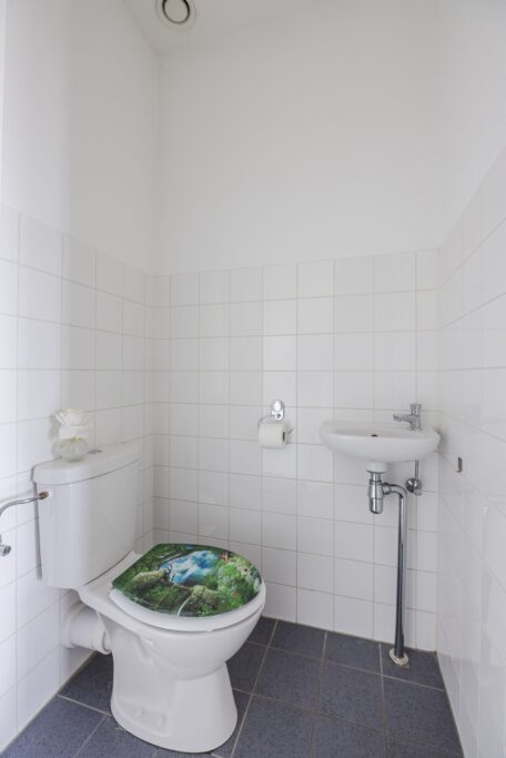 Johan de Wittstraat 161