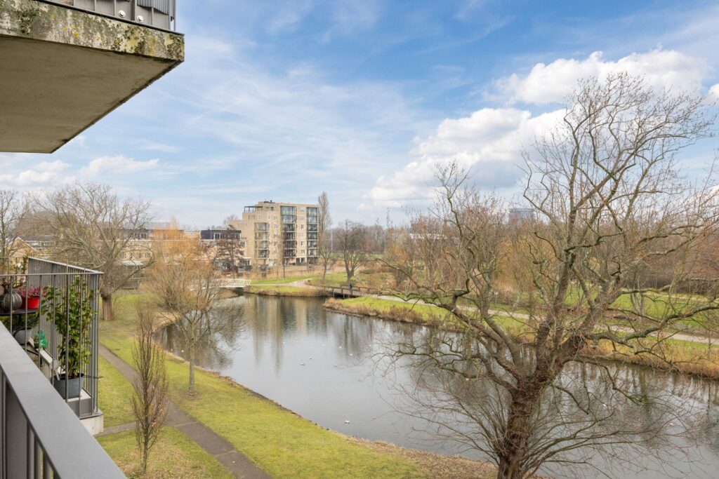 Johan de Wittstraat 161