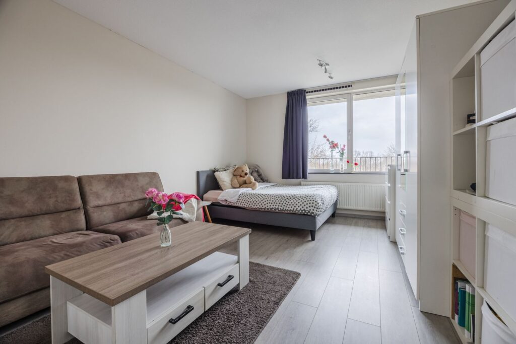 Johan de Wittstraat 161