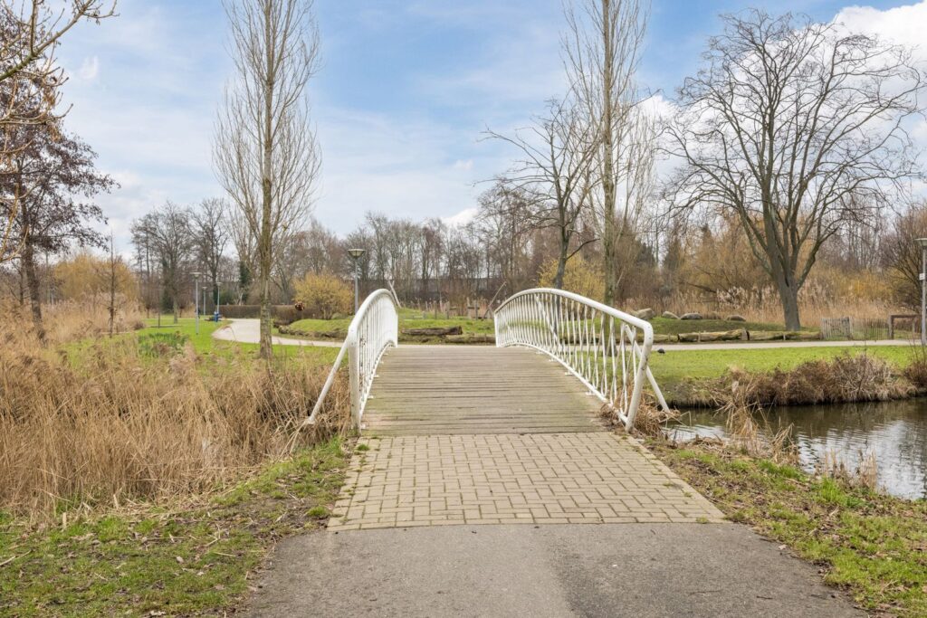 Johan de Wittstraat 161