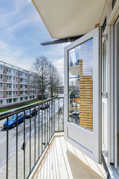 Tolsteegplantsoen 491