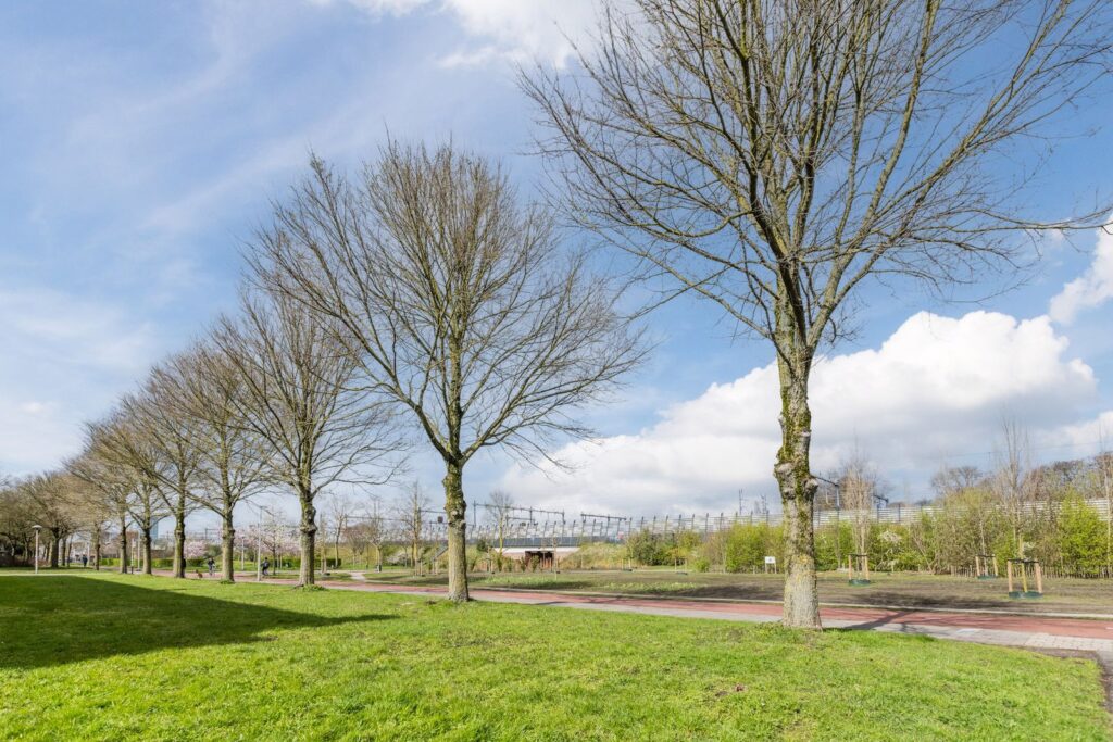 Tolsteegplantsoen 491