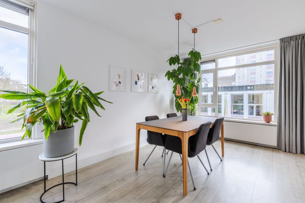 Tolsteegplantsoen 491