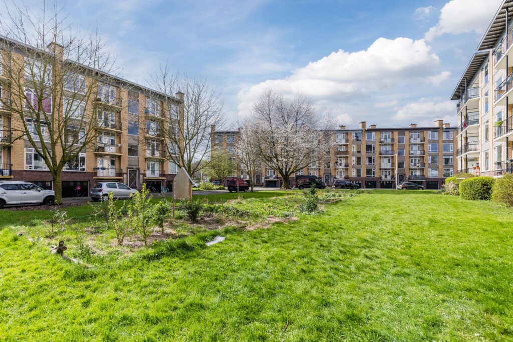 Tolsteegplantsoen 491