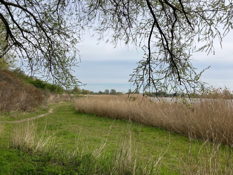 Waddenstraat 681