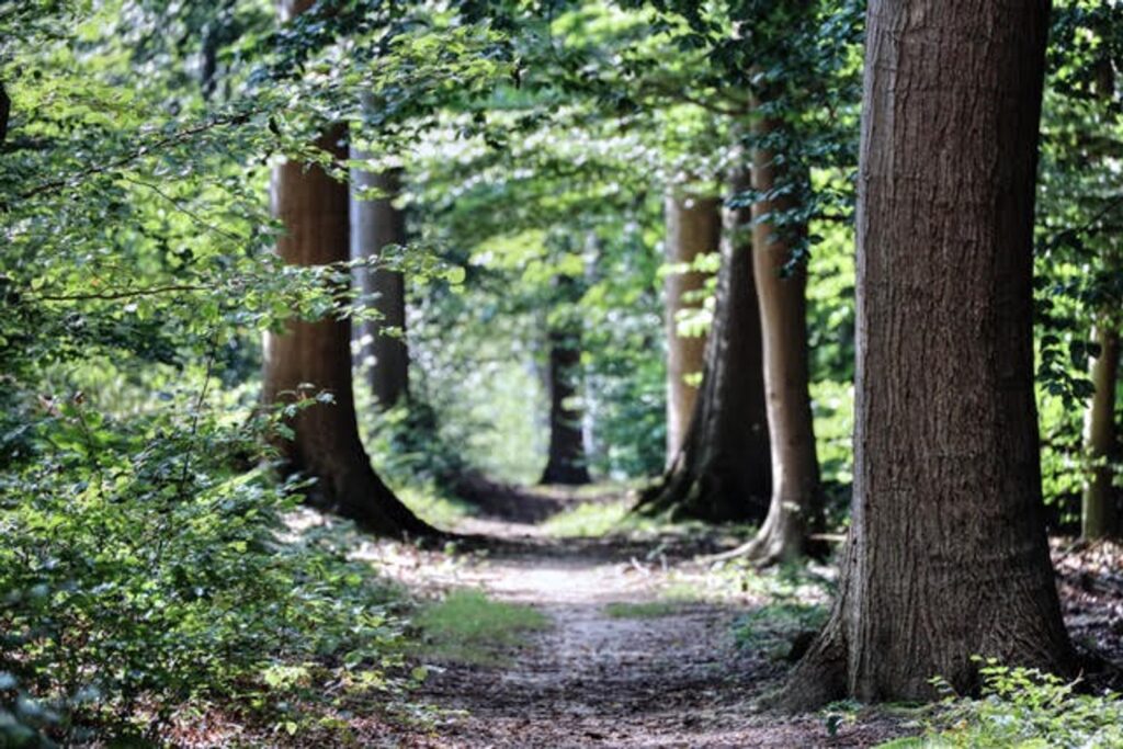 Halseweg 5491