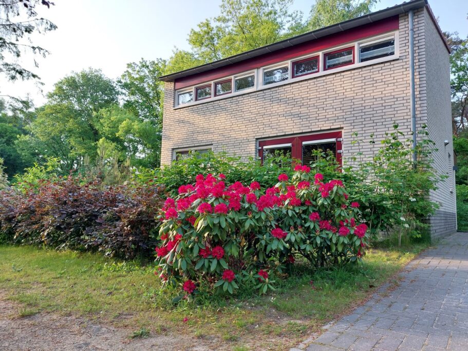 Halseweg 5491