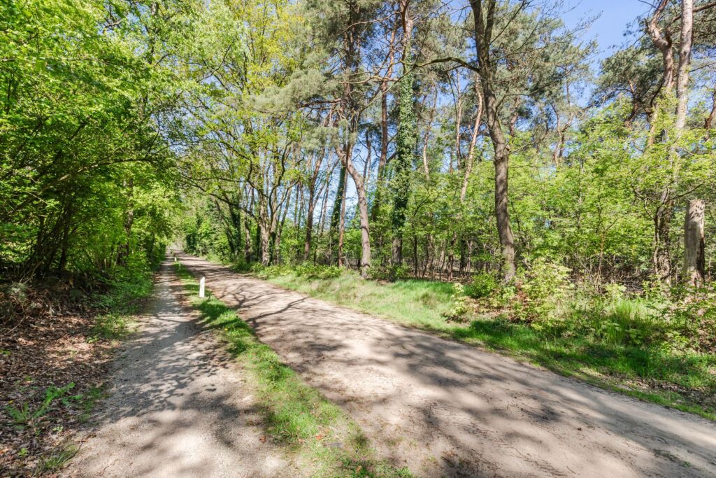 Halseweg 5491