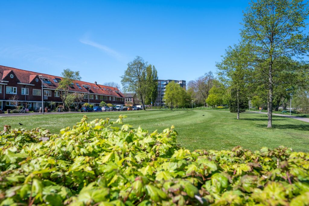 Rochus Meeuwiszstraat 11