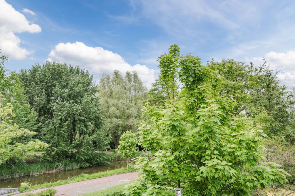 Capelseweg 222