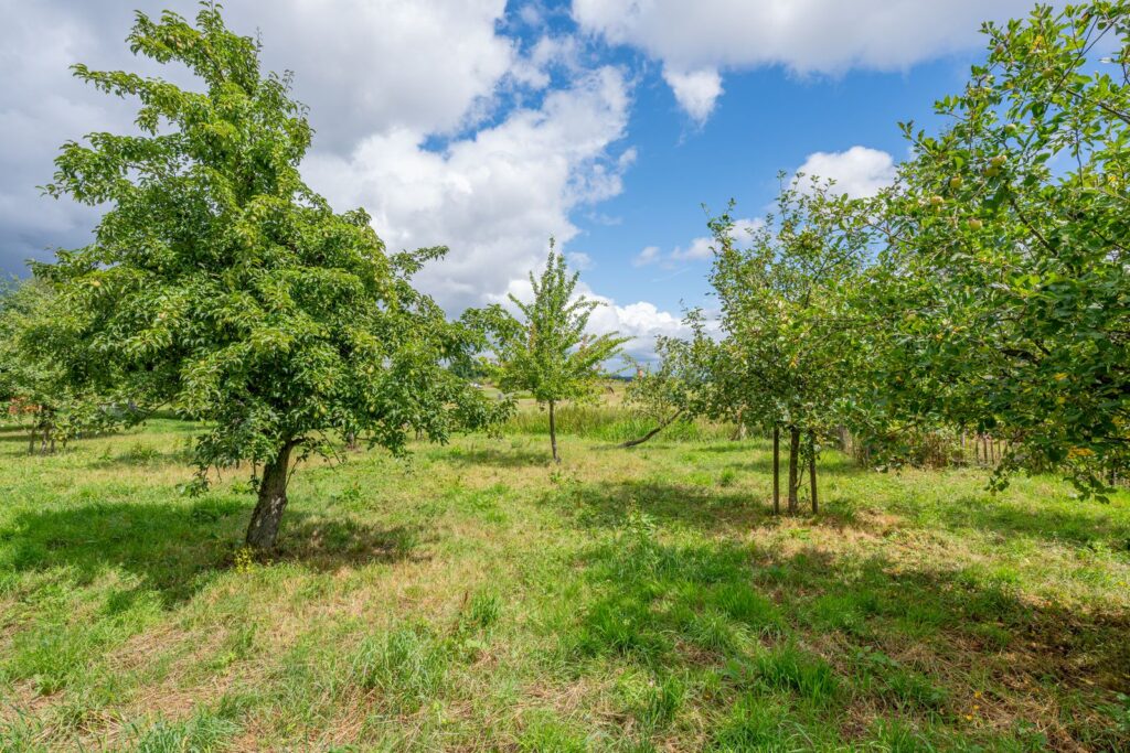 Waalseweg 84
