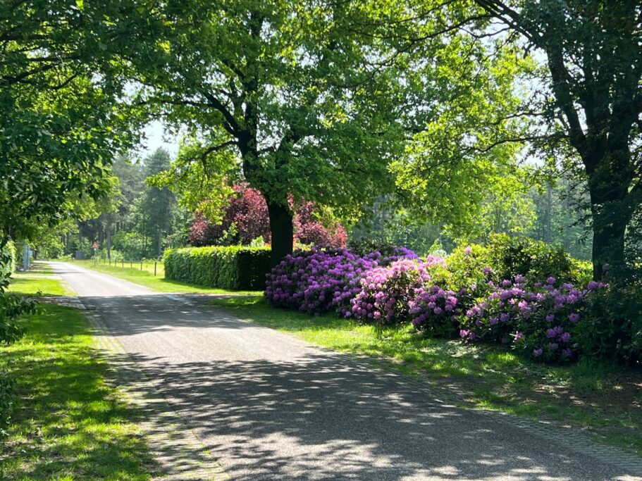 Heemserveldweg 1b