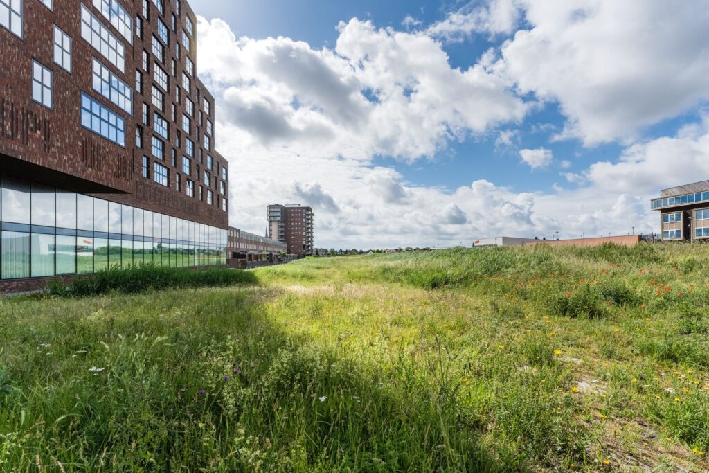 Fluitschiplaan 73