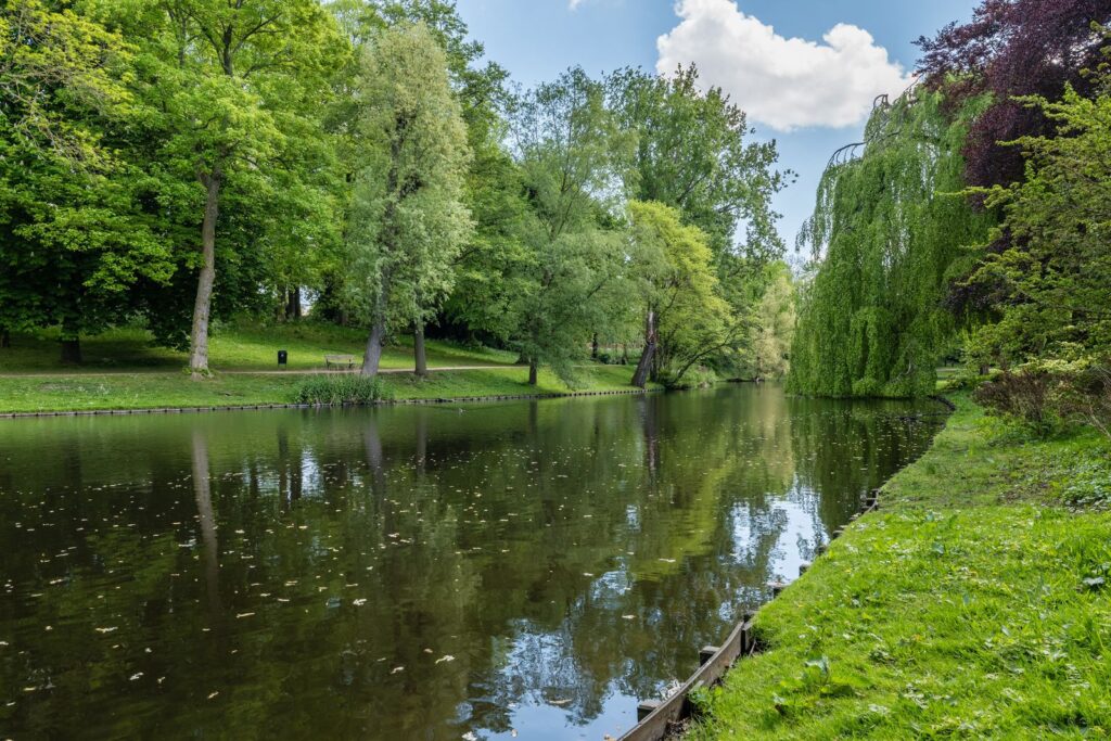 Kolfstraat 34a