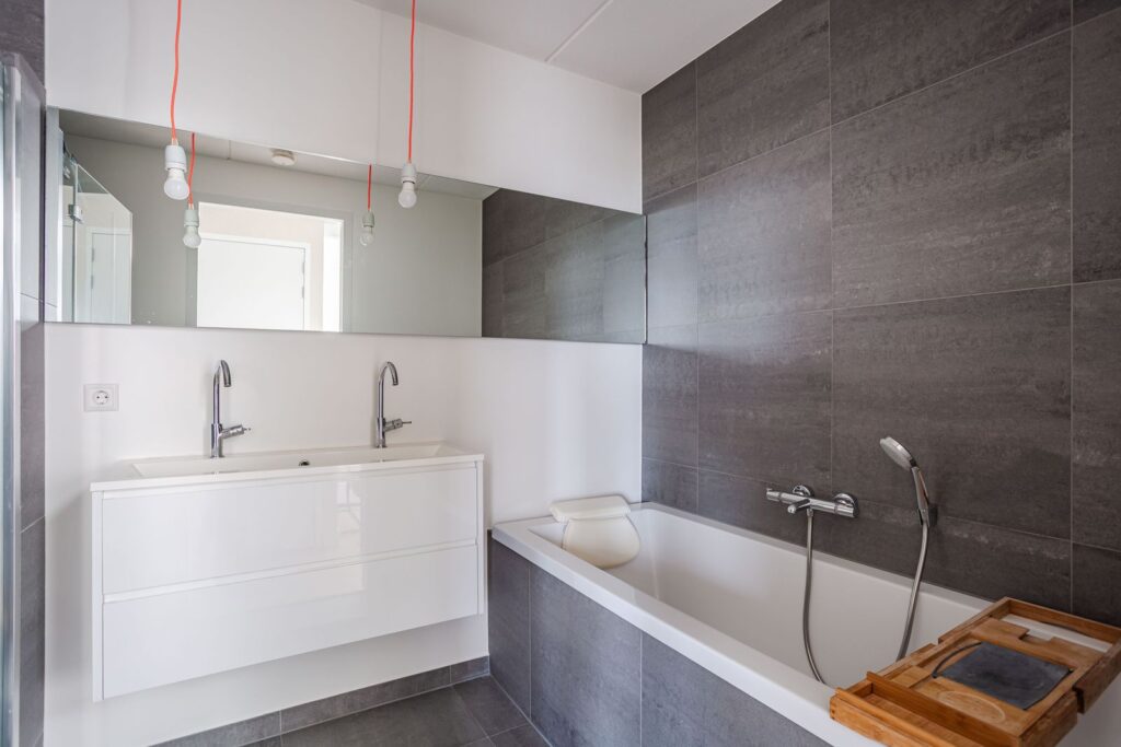 Latijnzeil 54