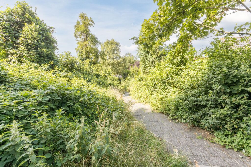Evert Reddersland 19