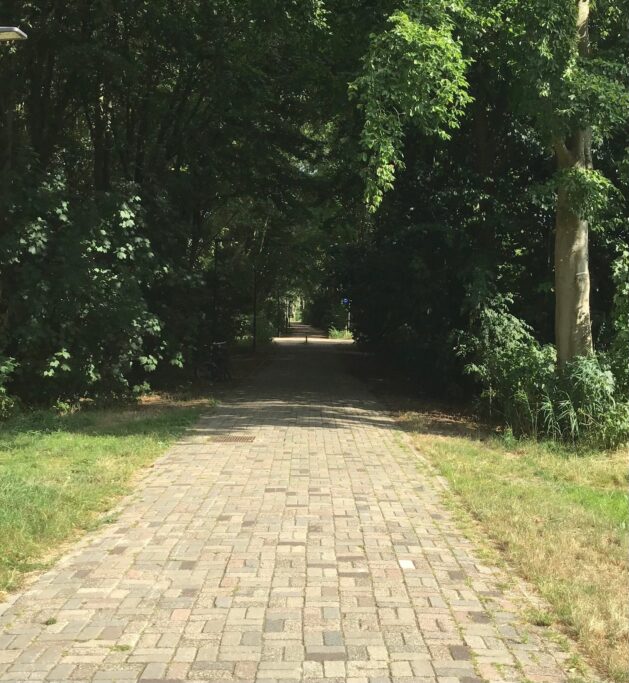 Duinvoetstraat 29