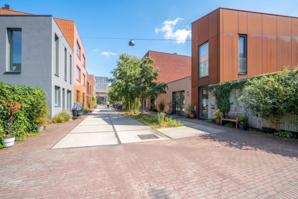 Chrysantstraat 48