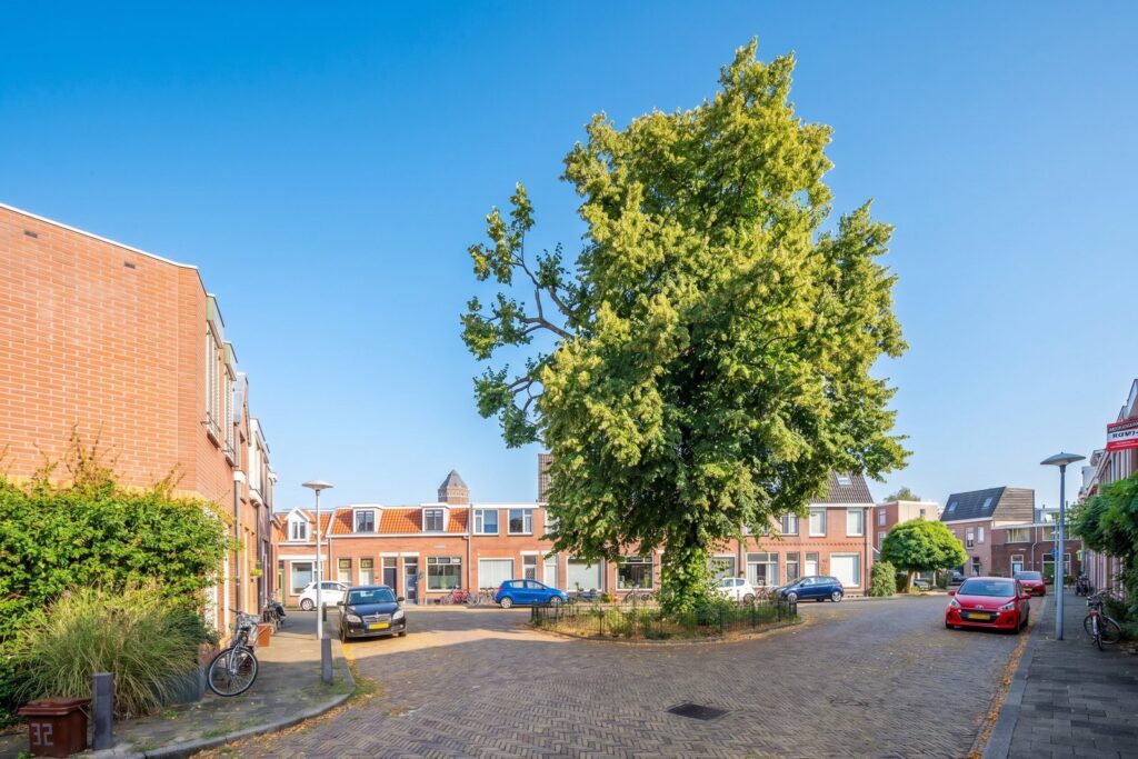 Chrysantstraat 48