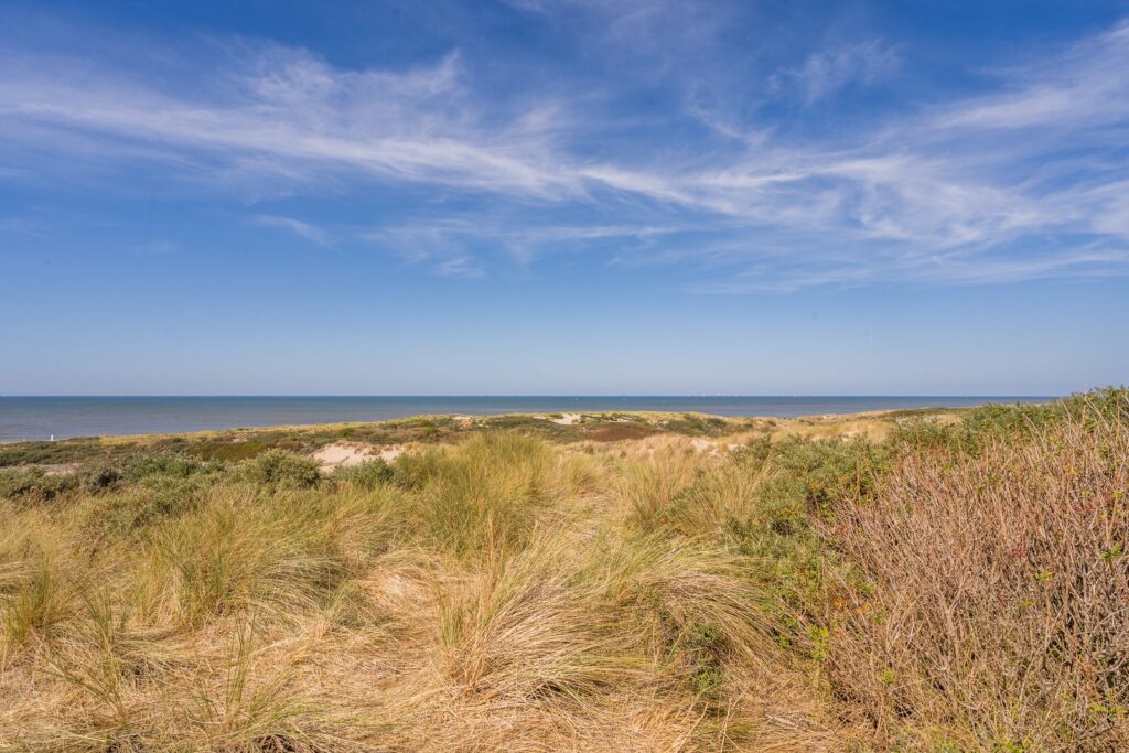 Lupineweg 35