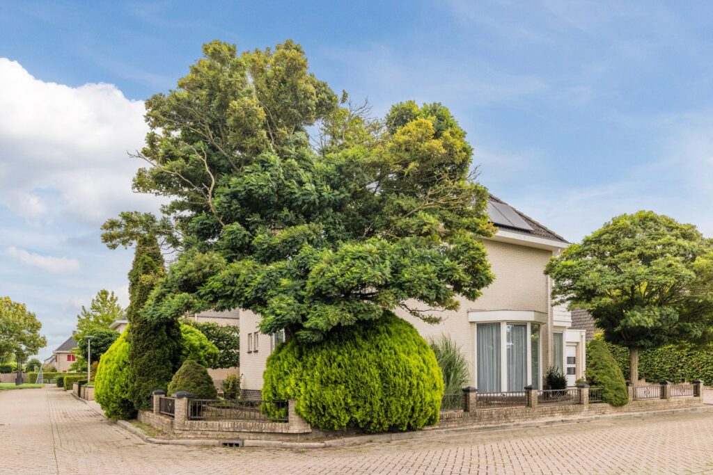Maatgraaf 7