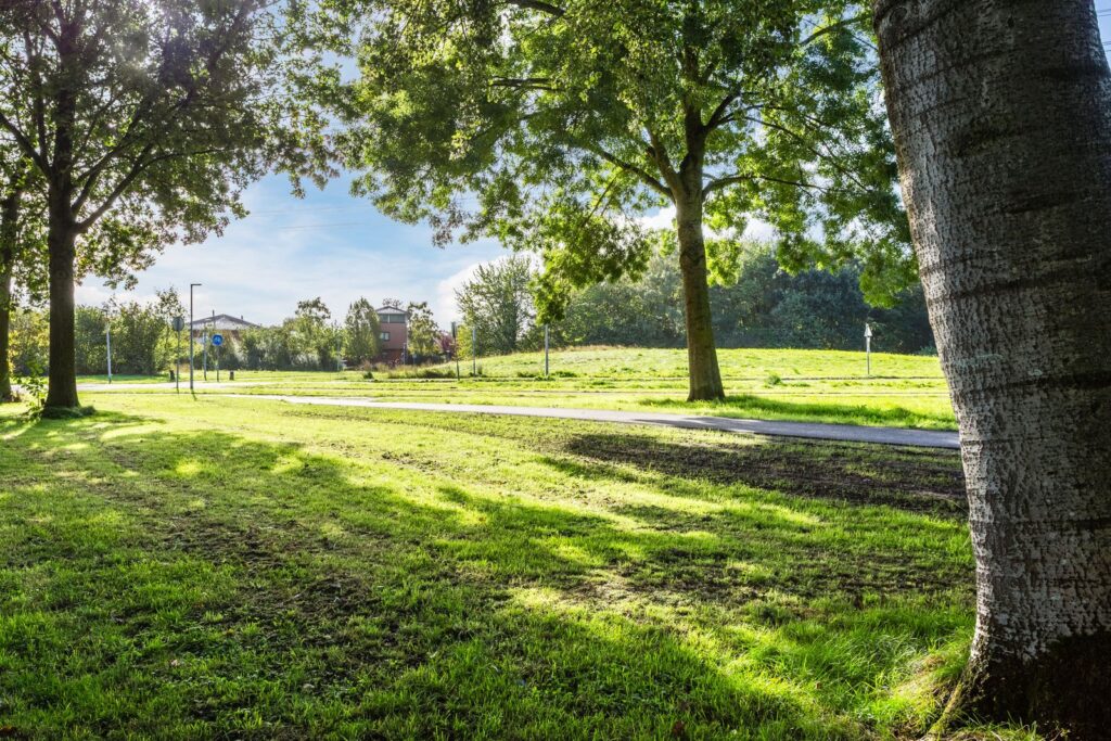 Ebenezer Howardpark 12