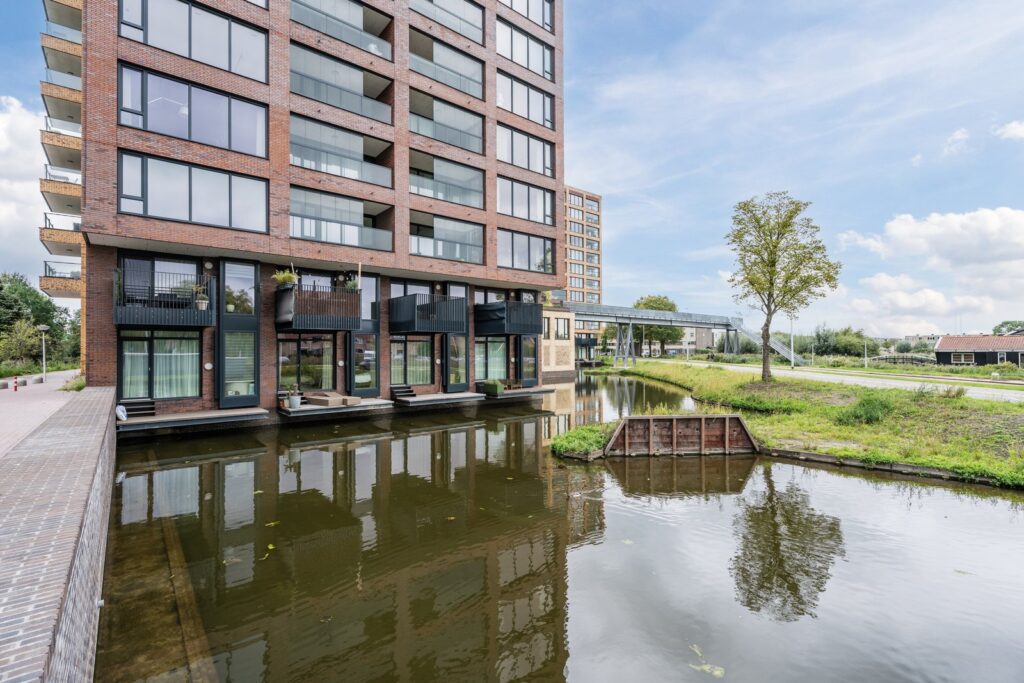 Mahoniehout 413
