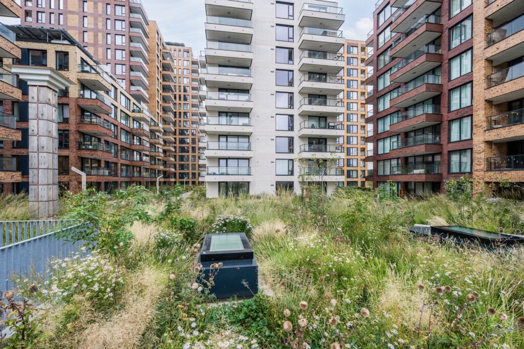 Mahoniehout 413