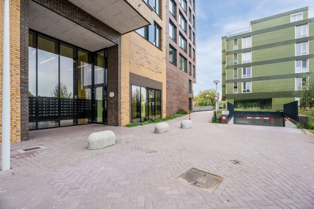 Mahoniehout 413