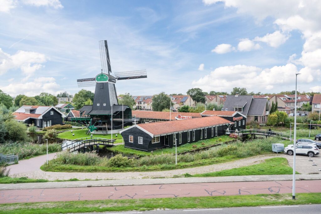 Mahoniehout 413