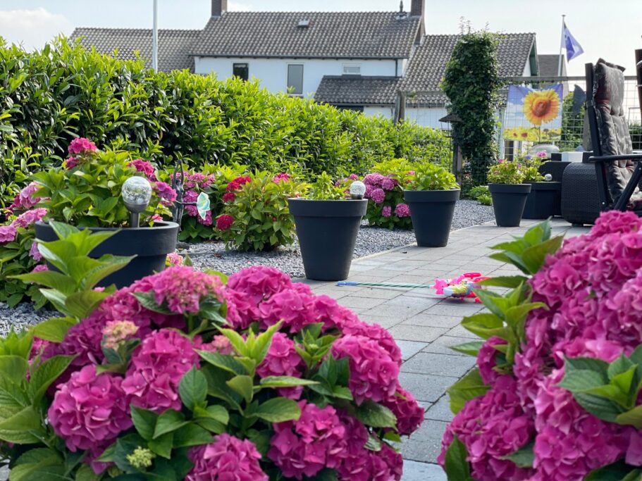 Molenweg 1A