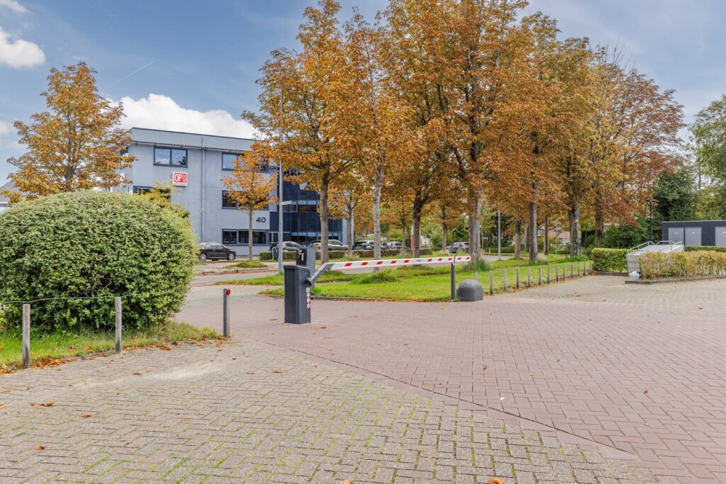Zandsteen 83