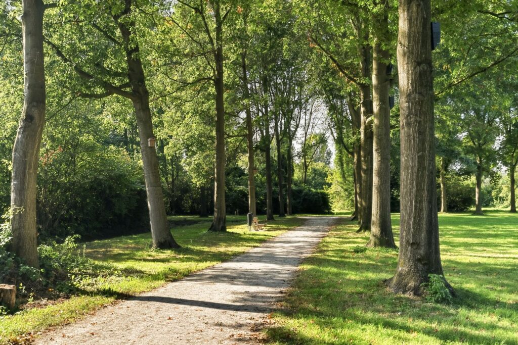 Valkenkamp 658